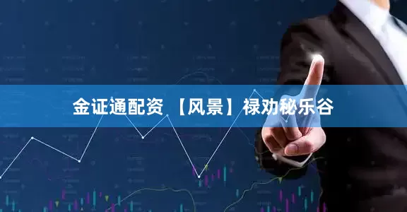 金证通配资 【风景】禄劝秘乐谷