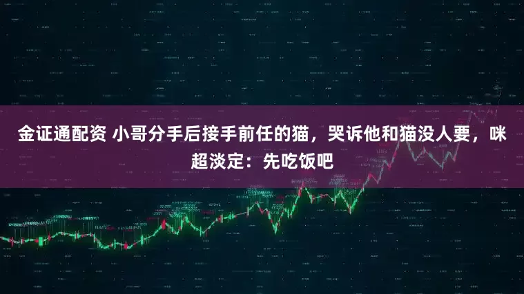 金证通配资 小哥分手后接手前任的猫，哭诉他和猫没人要，咪超淡定：先吃饭吧